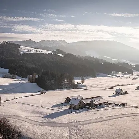 Appenzeller Huus Loewen 4*